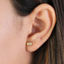 Solid 14K Yellow Gold Wild Elephant Clear Round CZ Earrings