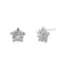 Sterling Silver Flower Star CZ Earrings