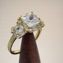 Sterling Silver Yellow Gold Plated Classic Princess, Emerald & Round Cut Clear CZ Ring