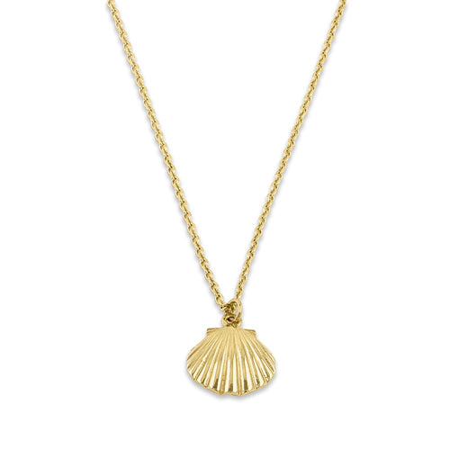 Solid 14K Yellow Gold Clam Shell Necklace