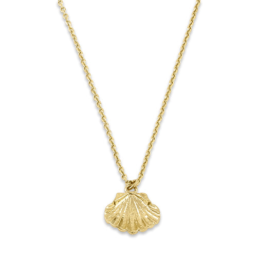 Solid 14K Yellow Gold Clam Shell Necklace