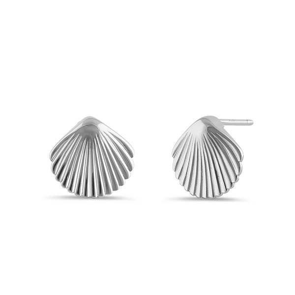Sterling Silver Sea Shell Earrings